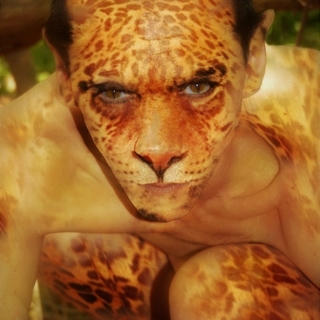 DAN SAPLUME