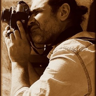 NOEL D ANIELLO