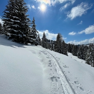 Nicolas Daj