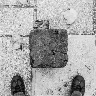 TeTaPix Pierre