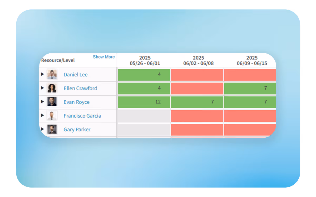 Deltek Vantagepoint resource planning and staffing availability interface