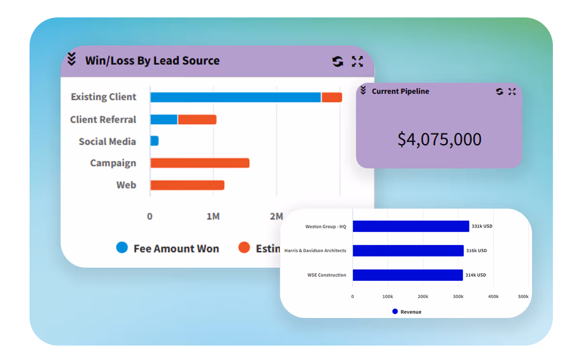 Deltek Vantagepoint CRM and business development interface