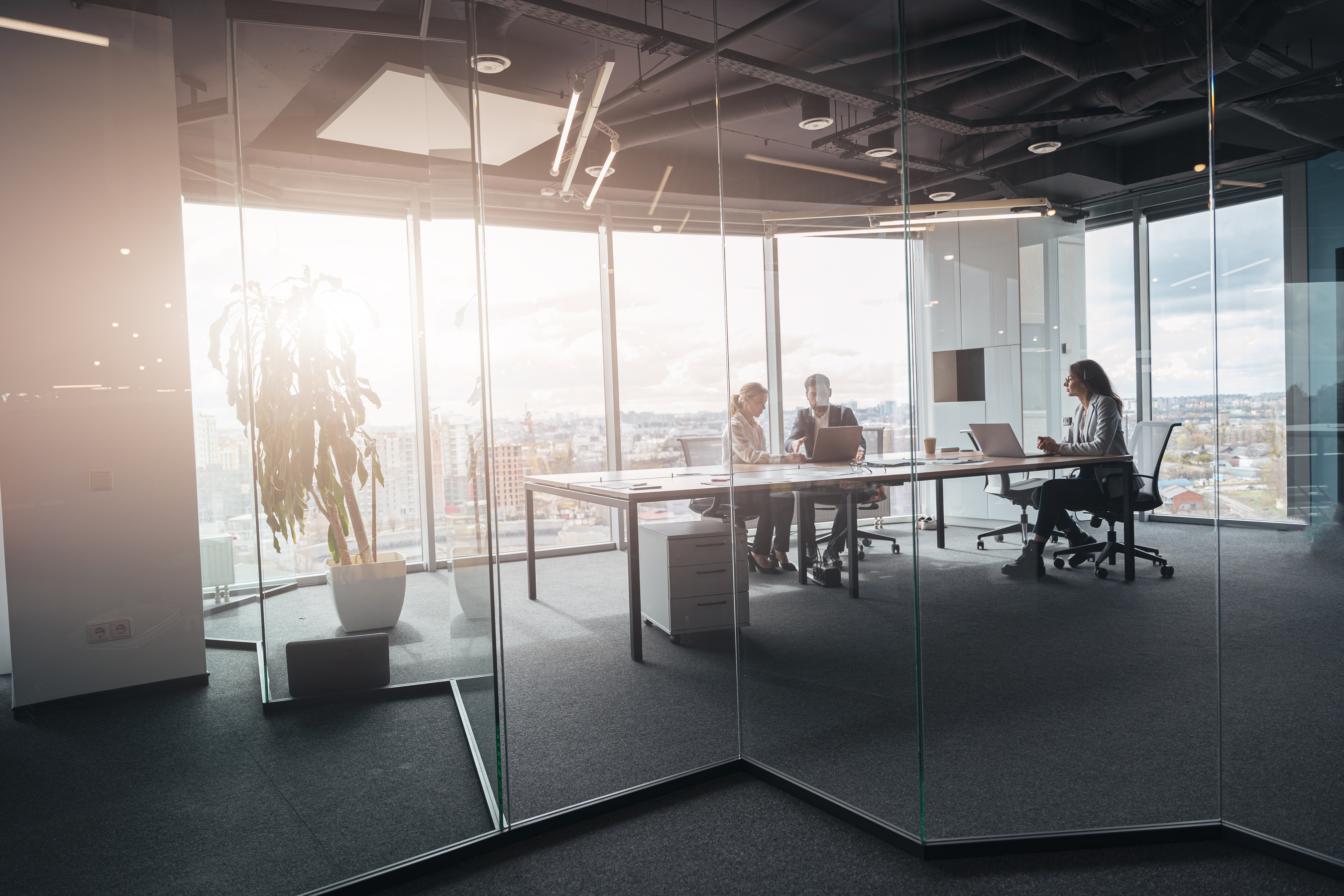 Board–CEO Relationship: Supportive, Challenging, and Clear