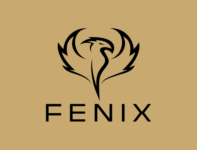 construction company logo fenix color