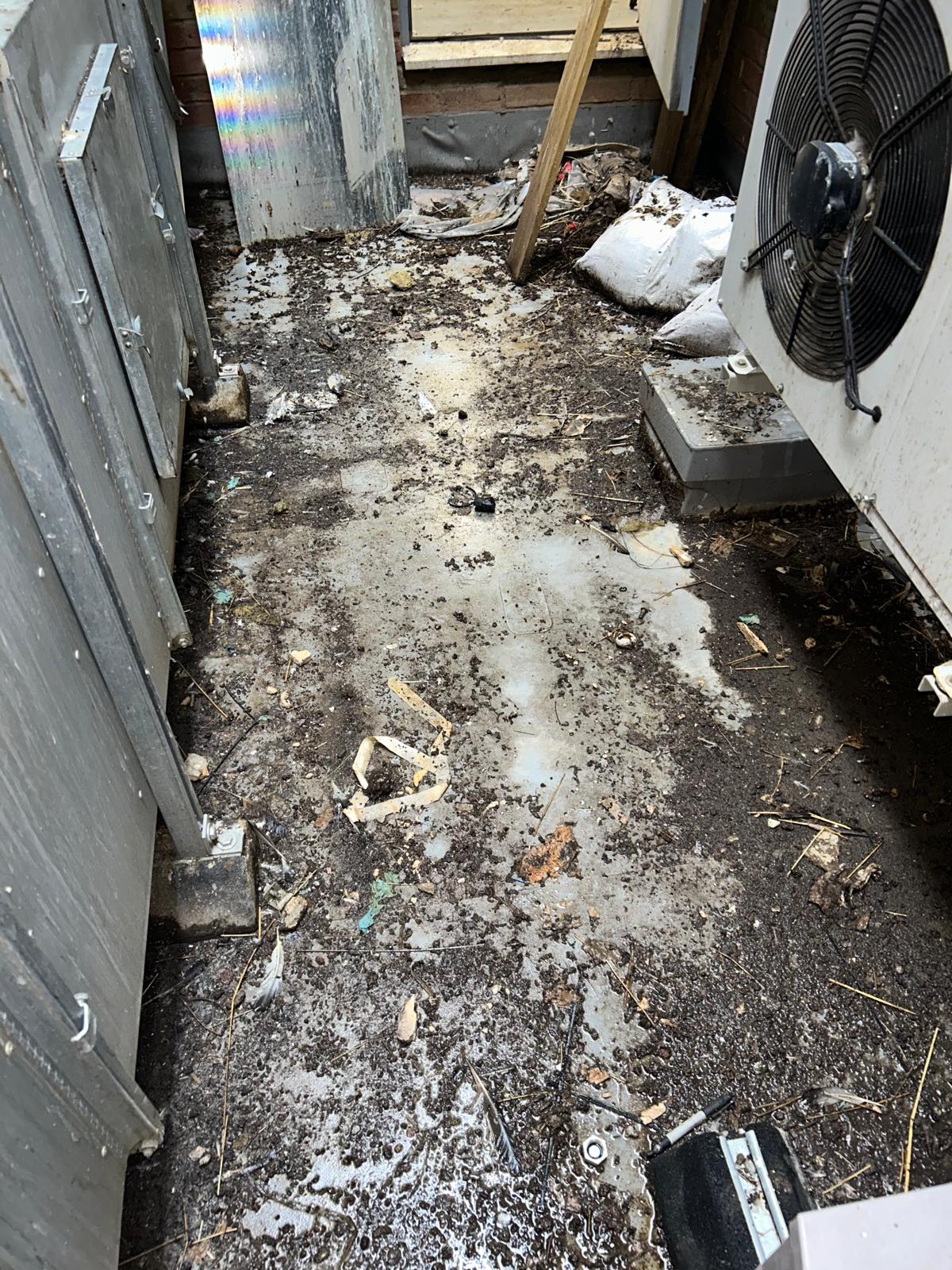 image of plumber working under a sink