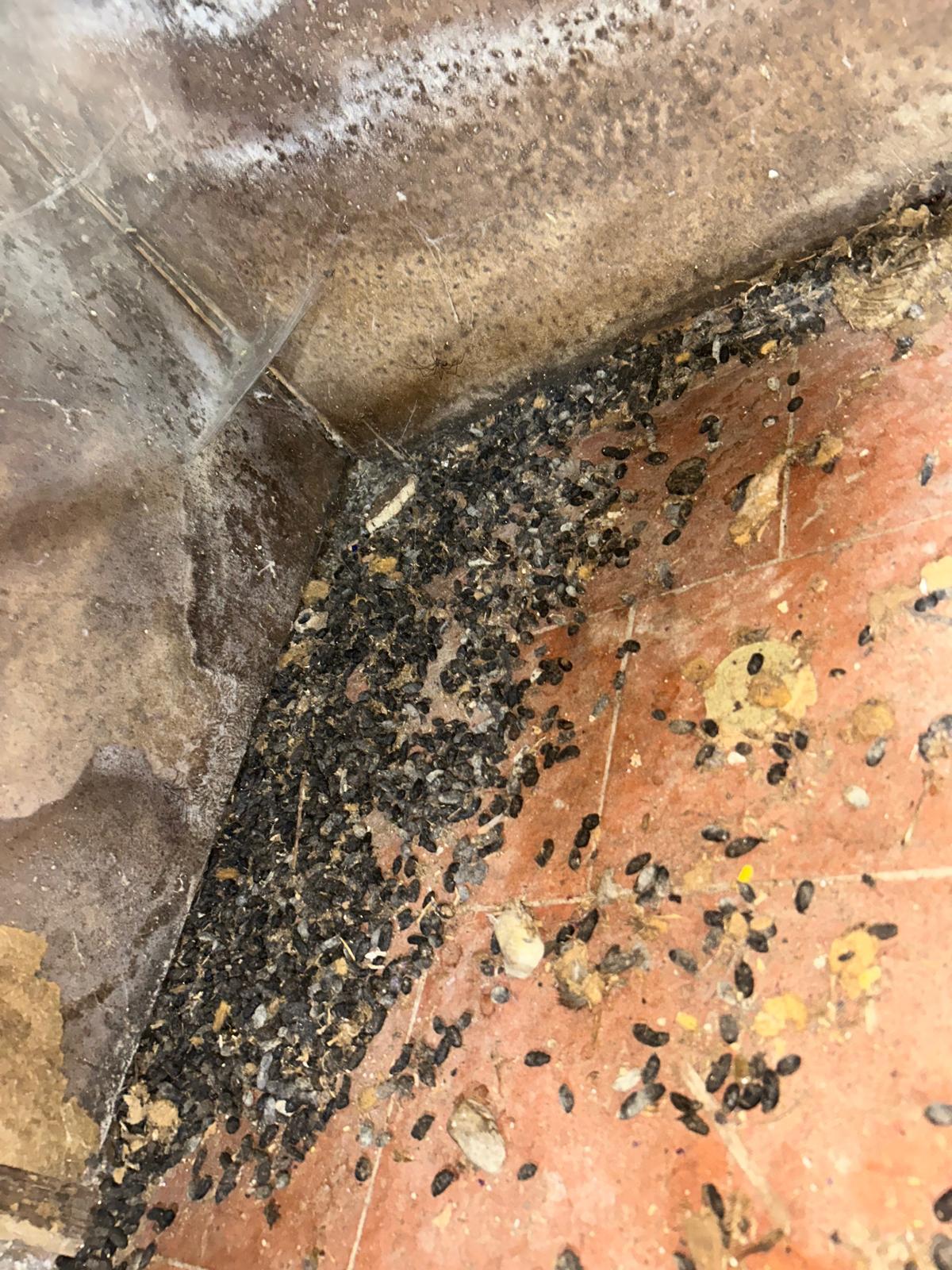 image of cctv system installation