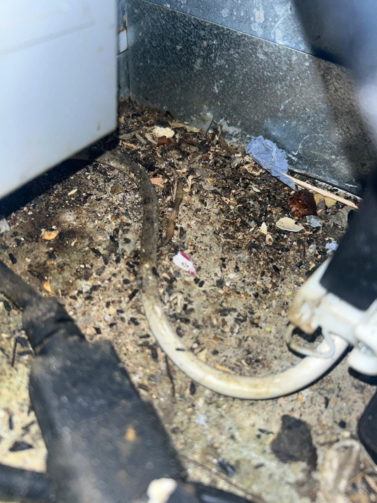 image of plumber working under a sink