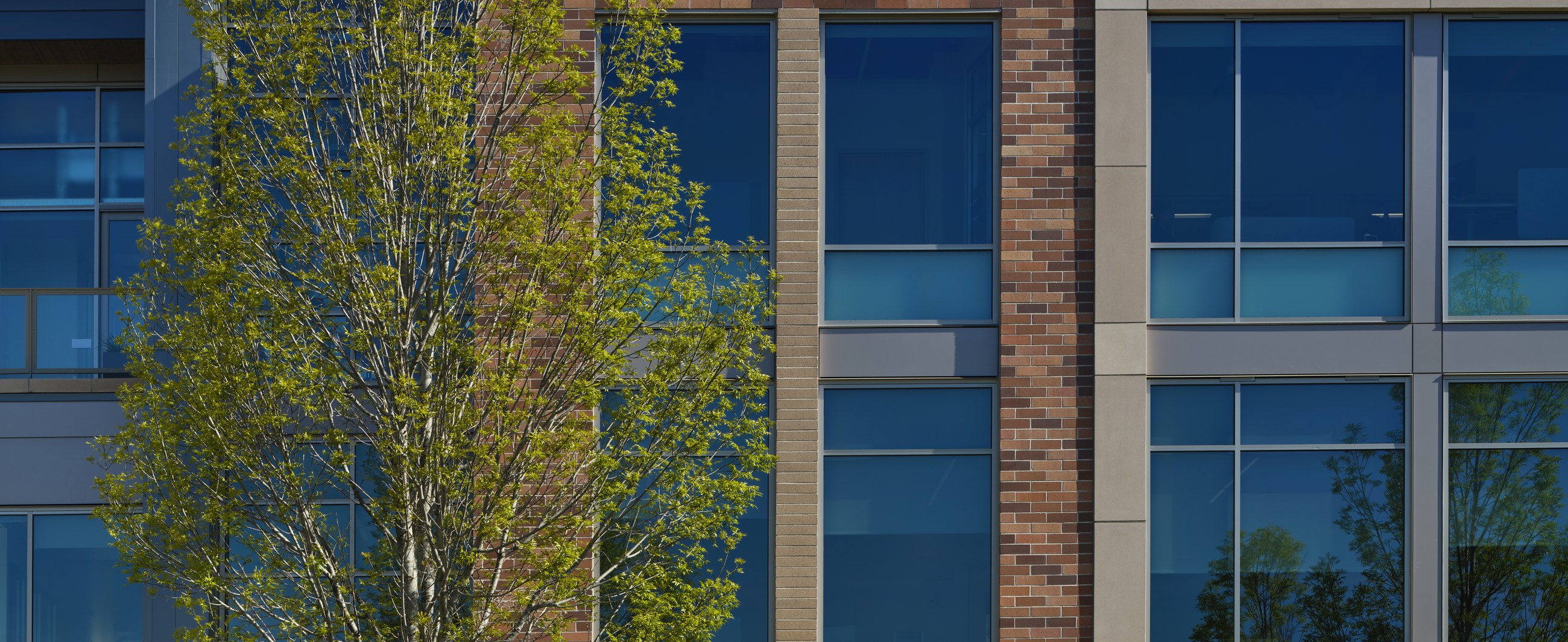 District Office Building facade detail of brick and glass framed by trees