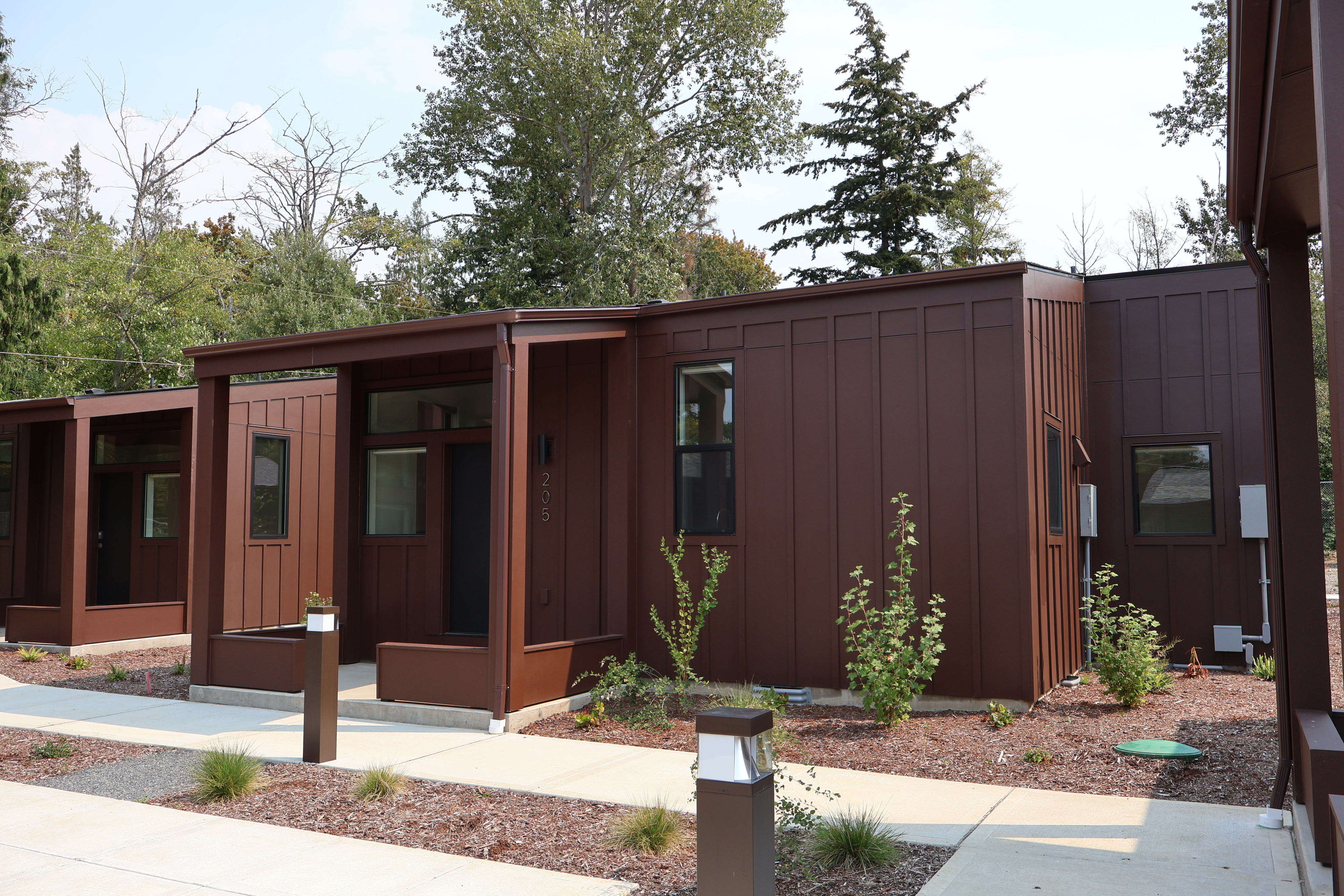 A row of tiny homes with covered entries receding along a landscaped walkway at Crowberry Mini Homes