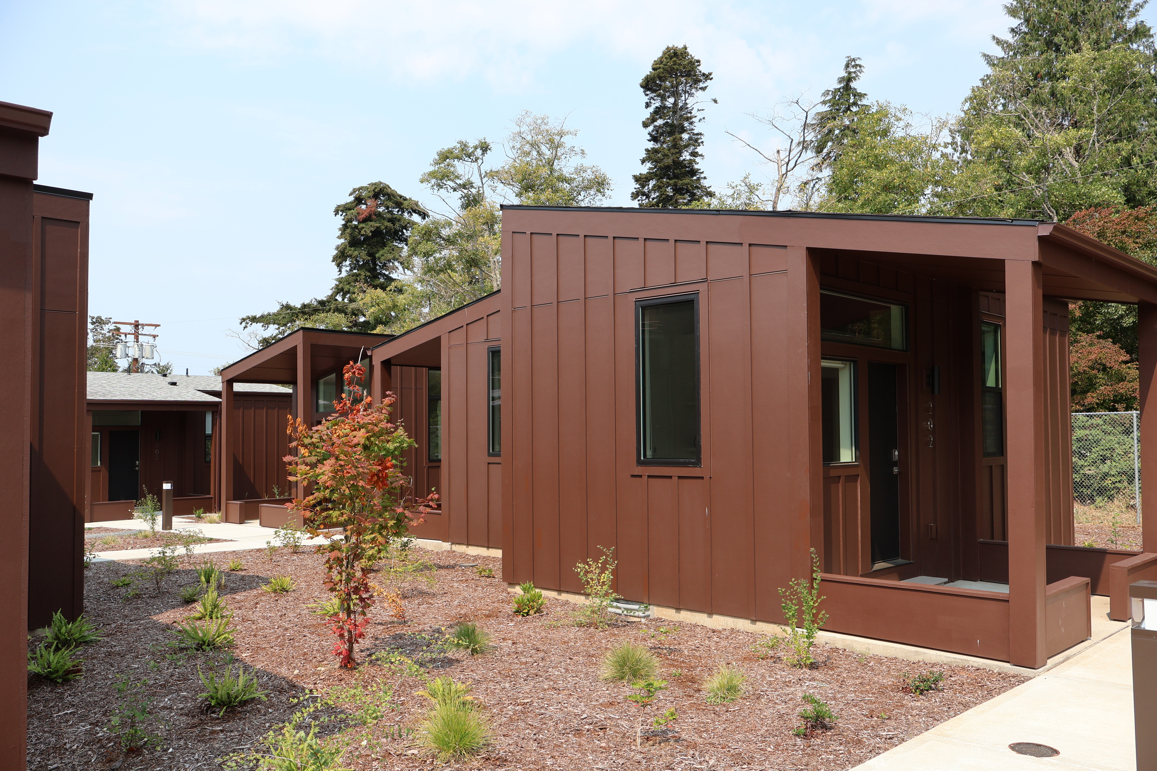Finished tiny homes at Crowberry Mini Homes with a young red maple in the landscaped bed between them