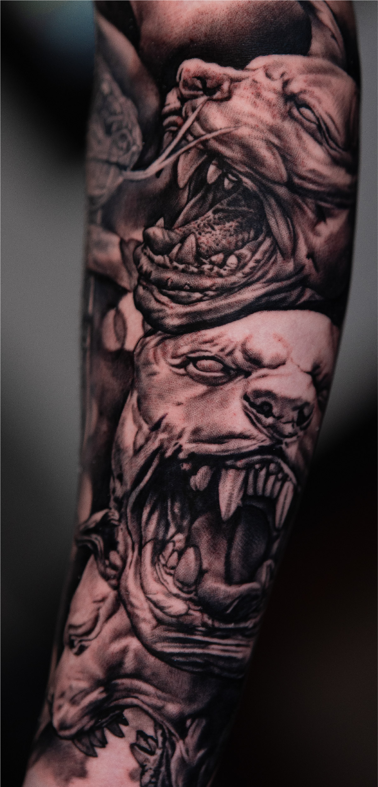 More Image