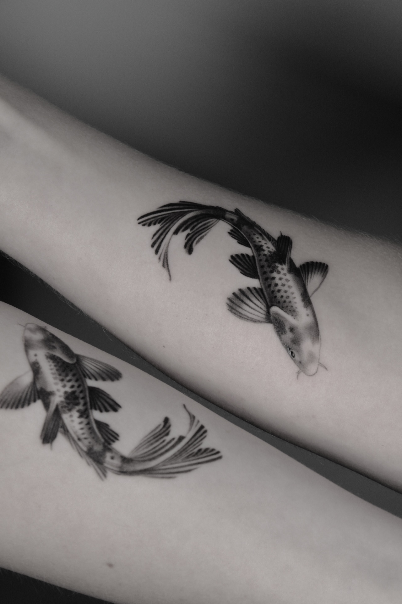Microrealism tattoo of two matching koi fish on the forearms at The Secret Tattoo Studio in Tampa