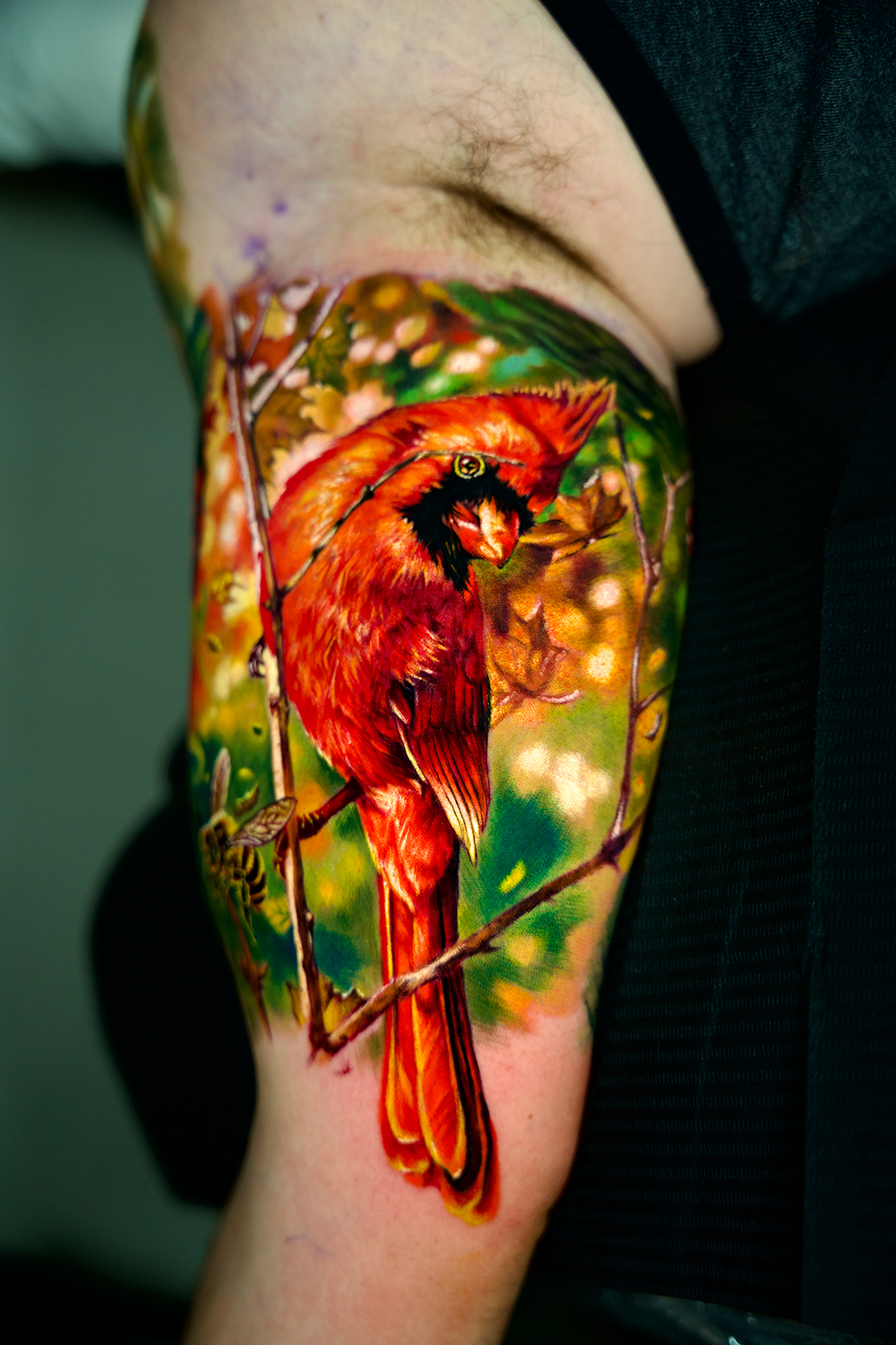 Color realism tattoo of a red cardinal perched on a branch on the upper arm at The Secret Tattoo Studio in Tampa