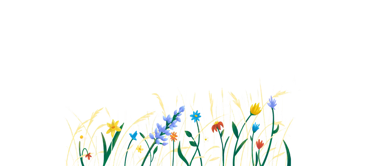 Colorful wildflowers and tall grass blades against a transparent background.