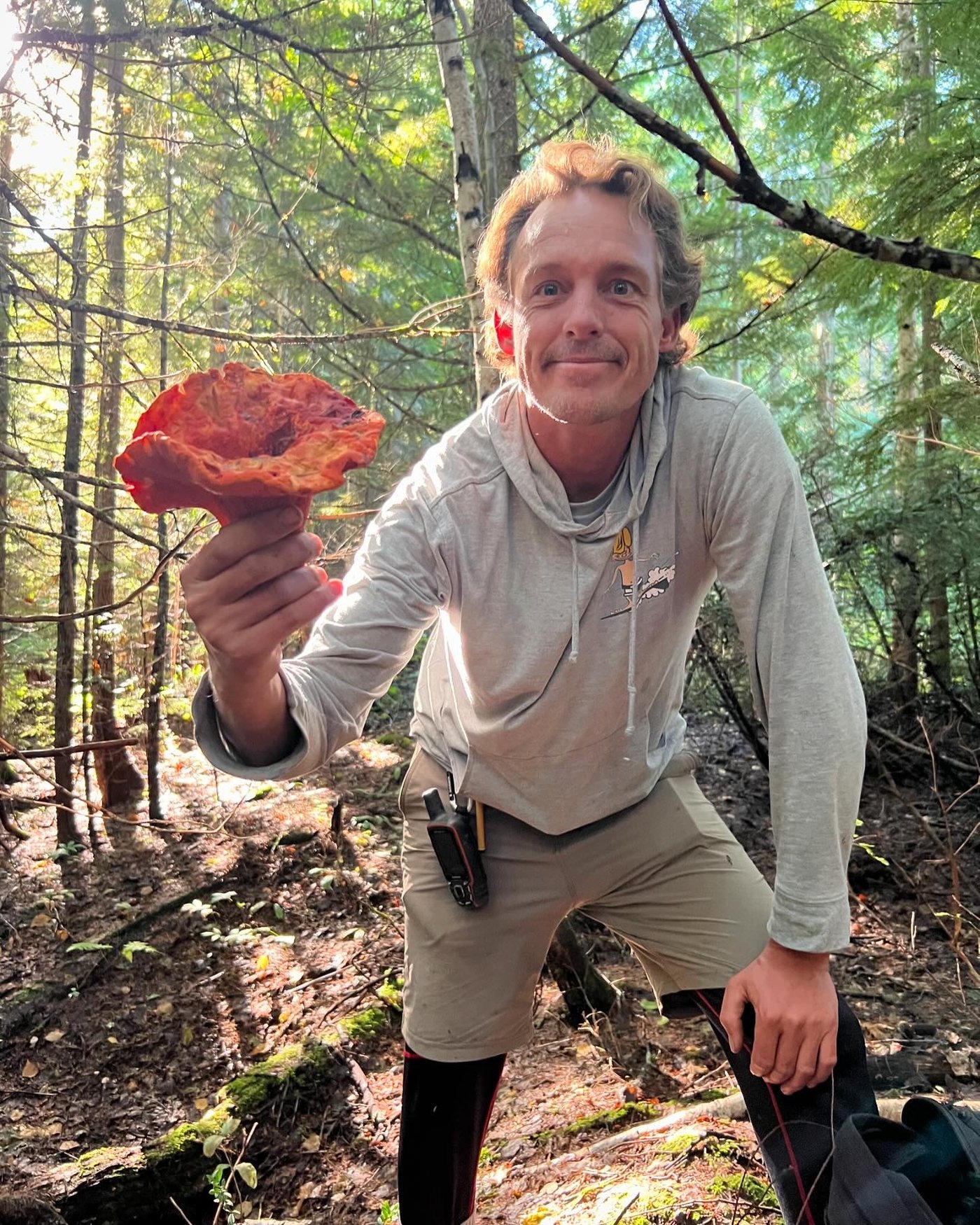 A lobster mushroom find