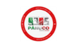 Logotipo circular con los colores de la bandera mexicana y las palabras PANUCO en el centro.