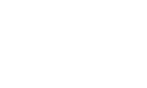 Anne Odden White Logo