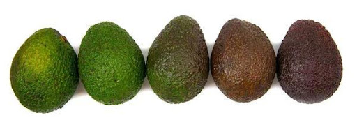 Avacado Ripening Stages