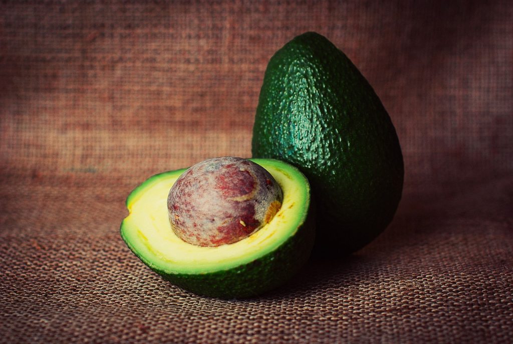 Avocado and No-Till Farming
