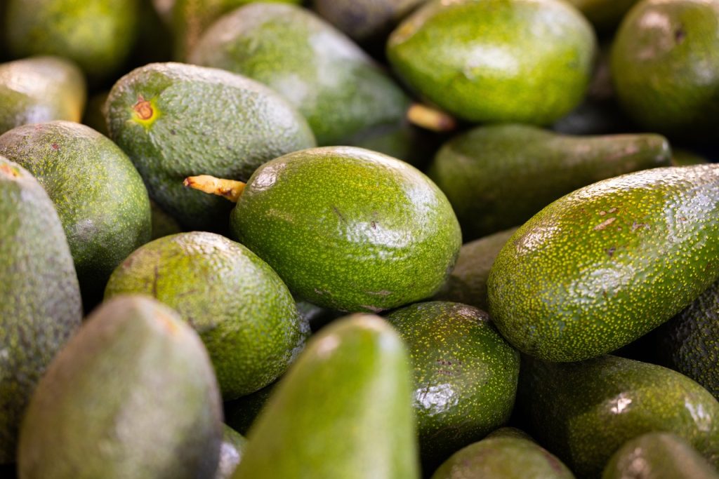 Avocado and Intercropping