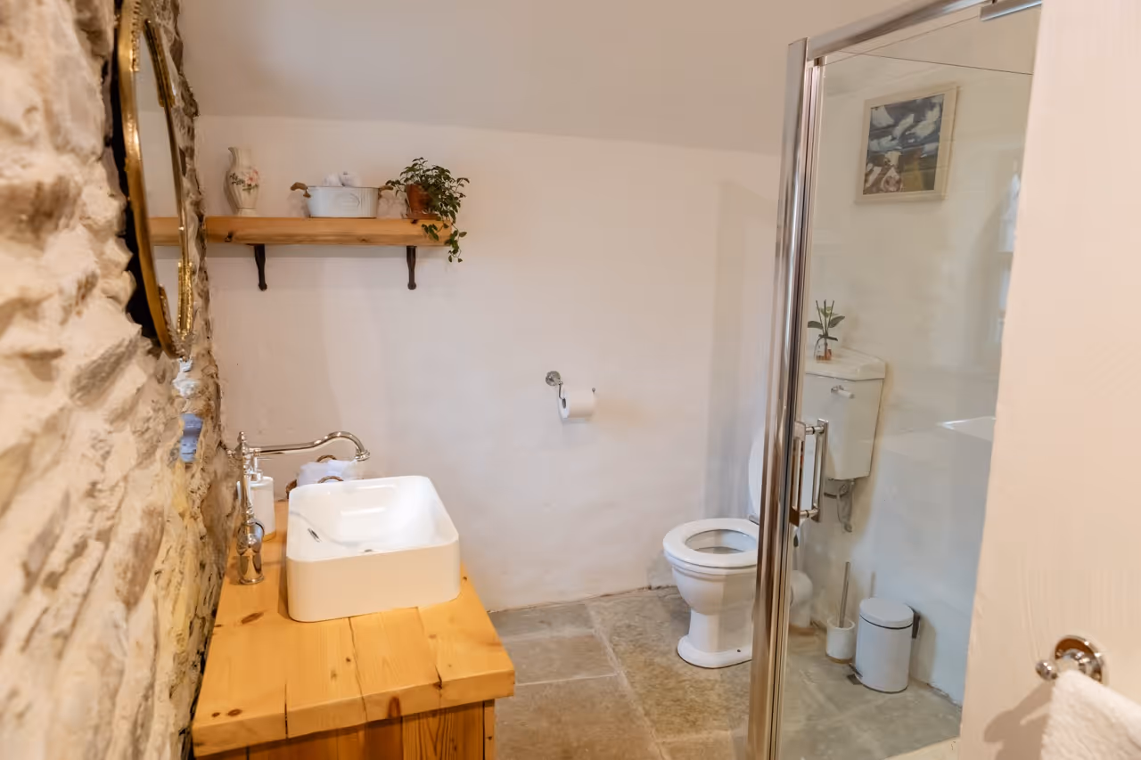 Rustic bathroom with a wooden vanity, white vessel sink, toilet, and glass shower enclosure.