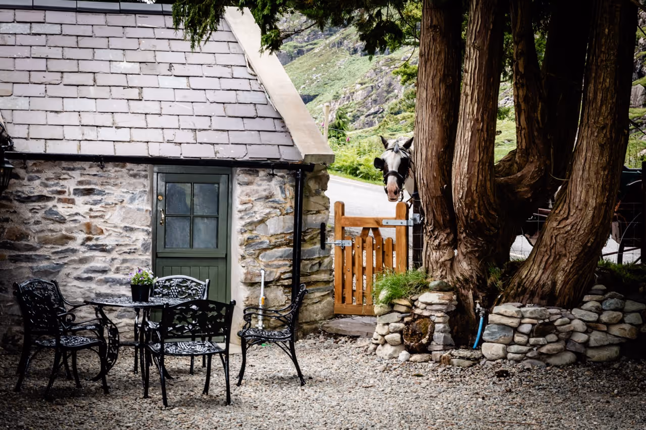 Small stone cottage with black metal patio furniture and a horse peeking behind a wooden gate near large trees.