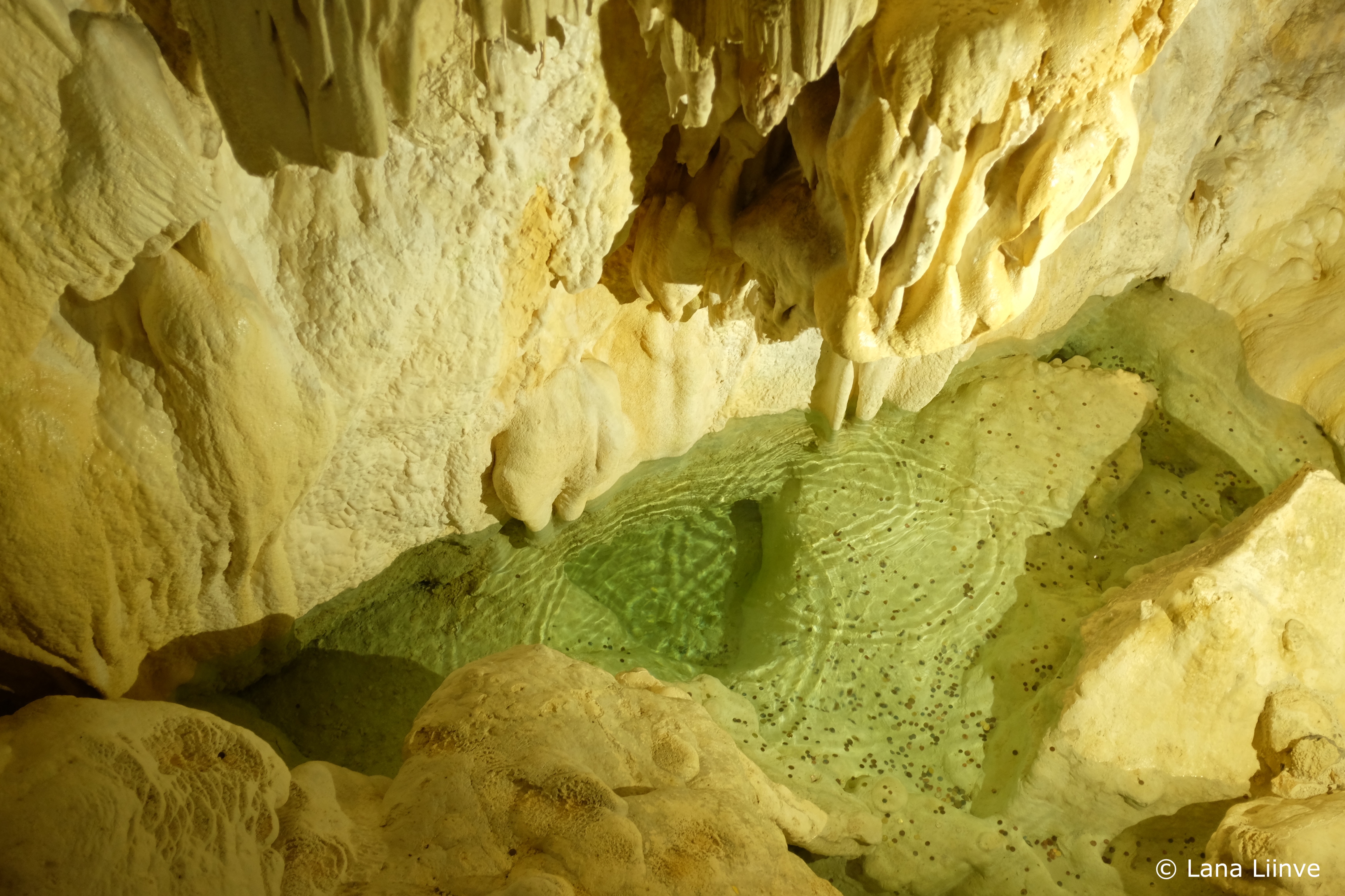 A pool of water with coins tossed for good luck, inside the Harmanecká caves of Slovakia