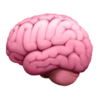 Illustration of a pink human brain viewed from the left side.