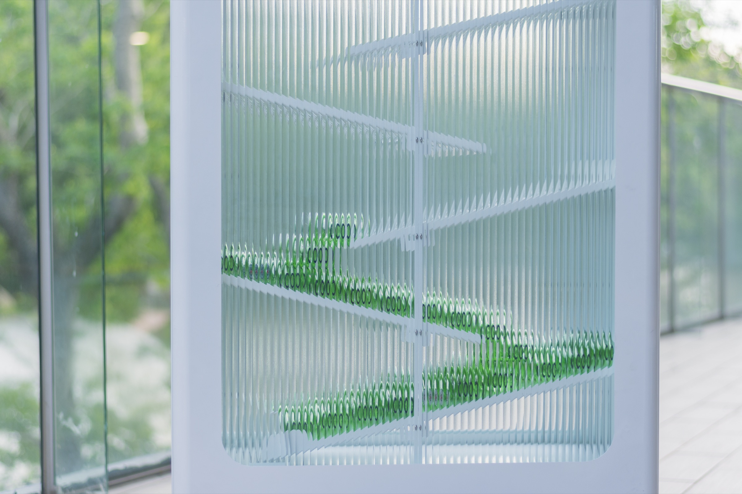 Interior shelves holding rows of collected glass bottles