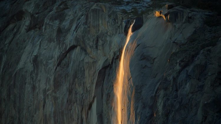 The Future of Web Design