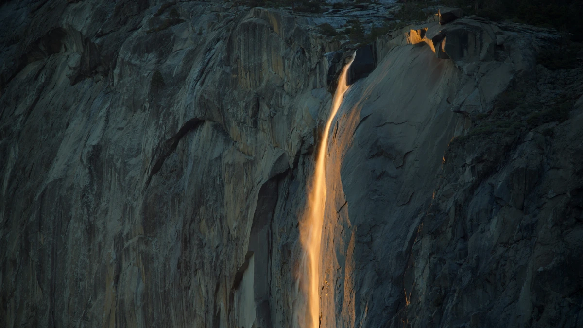 The Future of Web Design