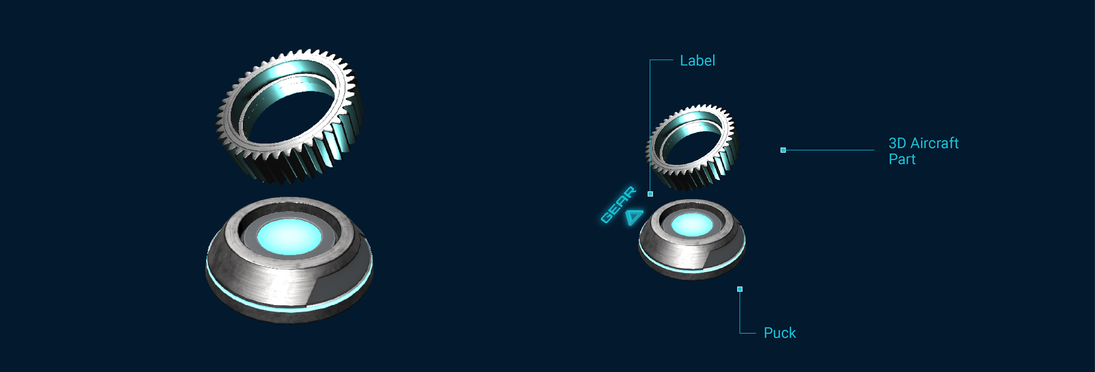 puck anatomy