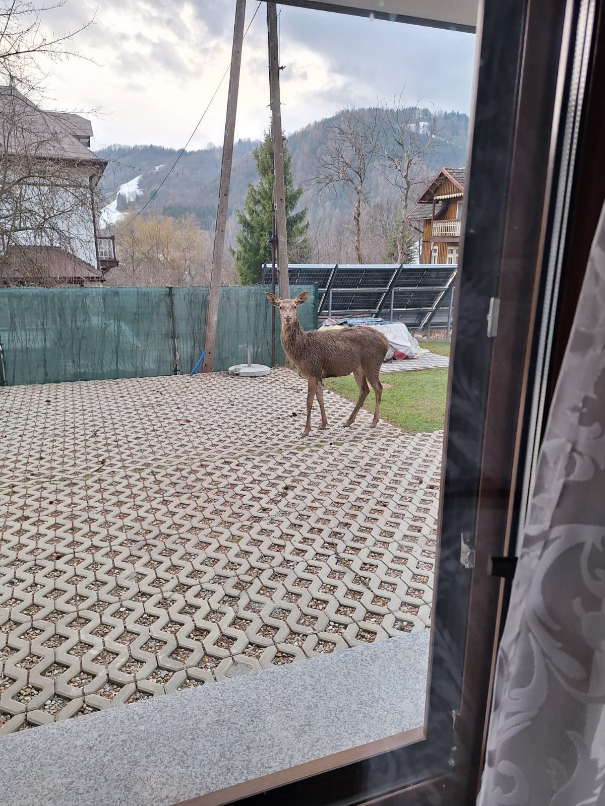 szczawnica apartament nocleg