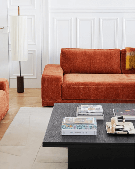 Modern living room with rust-colored velvet sofa, black coffee table with books and tray, beige rug, white paneled walls, and tall floor lamp.