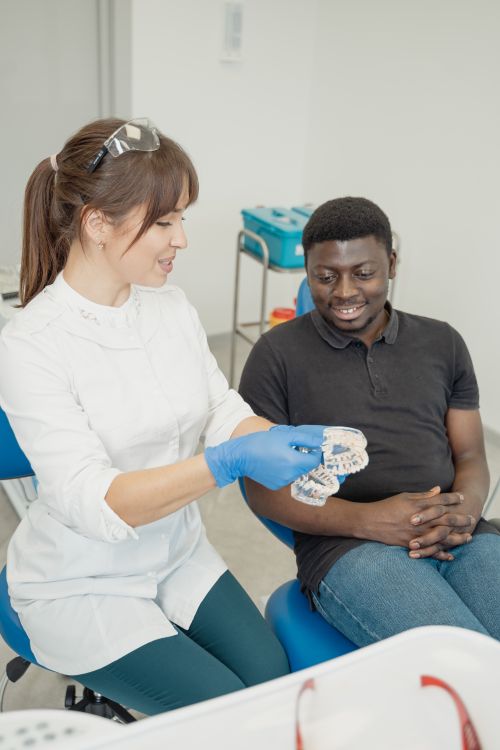 Dentist explaining a dental model and treatment options to a patient