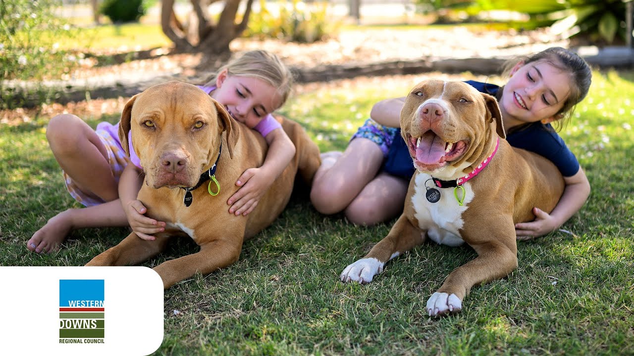 WDRC Responsible Pet Ownership Video