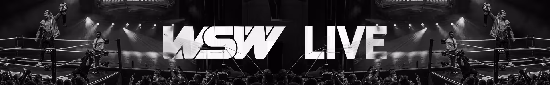 Wrestler holding championship belt triumphantly in a wrestling ring with audience and spotlights.