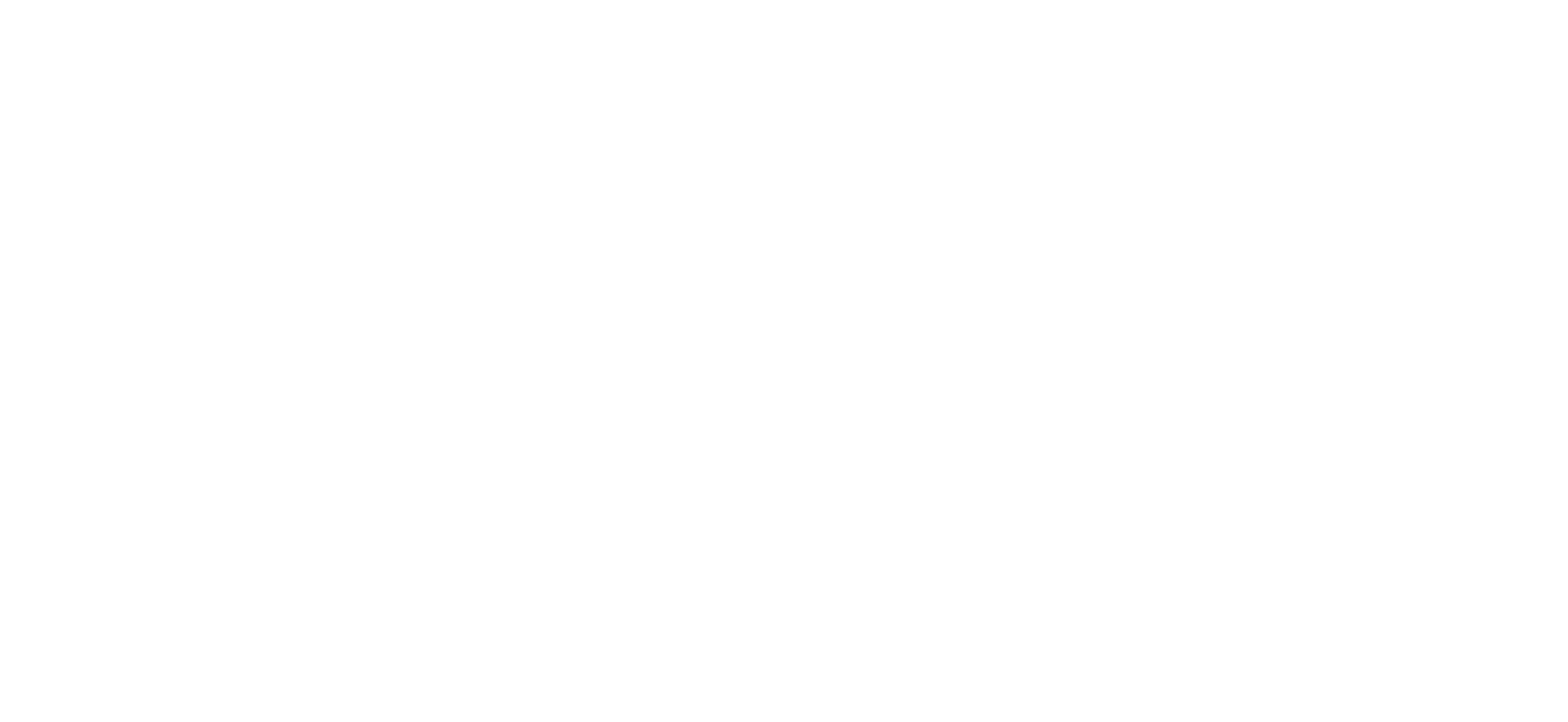 The Soccer Elite logo