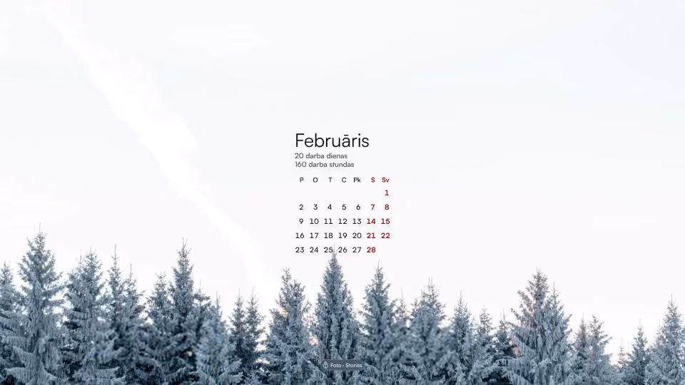 Februāra kalendārs ar darba dienu un darba stundu skaitu uz apsarmojušu egļu fona.