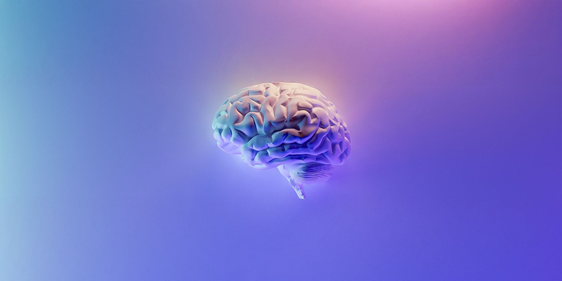 A human brain with digital effects and lights against a purple and blue background.