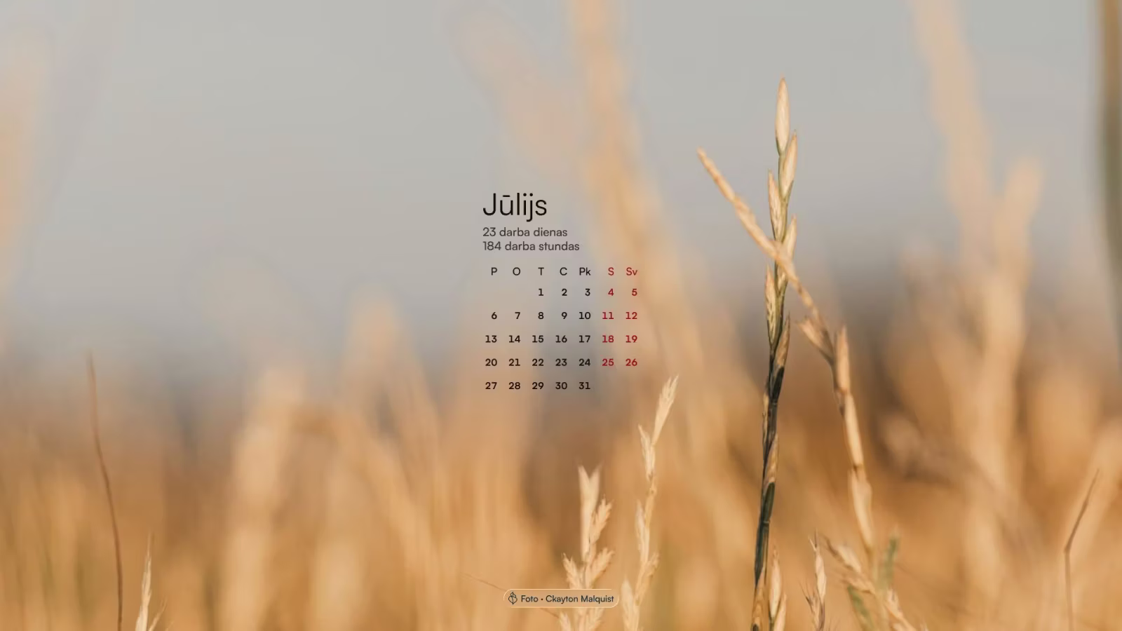 Jūlija kalendārs ar darba dienu un darba stundu skaitu uz saulainas labības lauka fona.