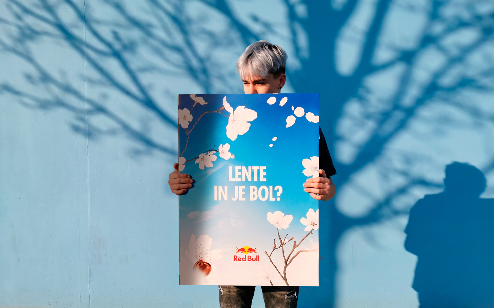 Red Bull Sakura box