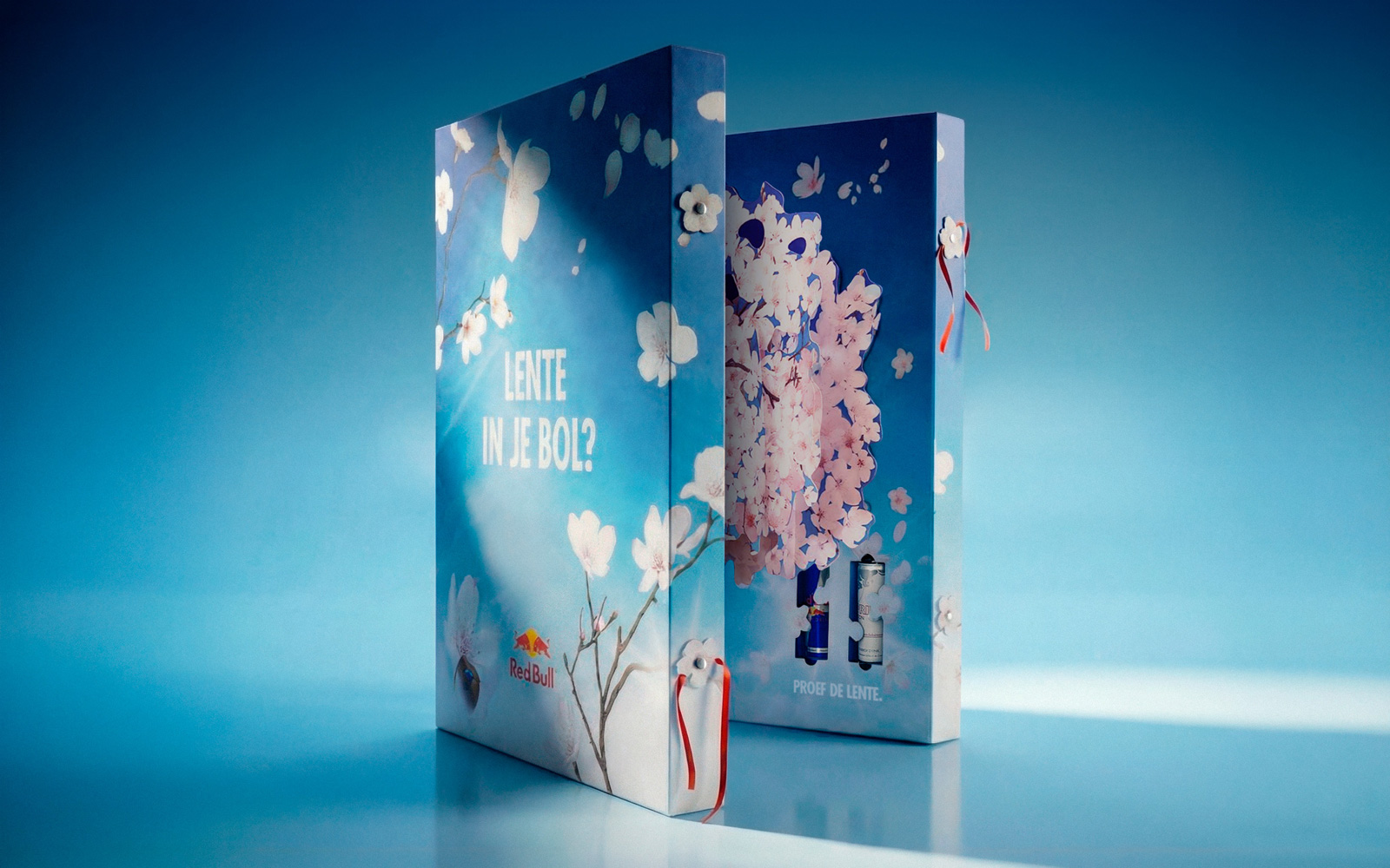 Red Bull Sakura box