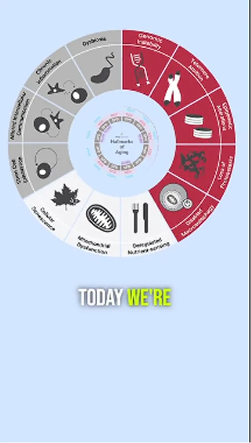 Video about health wheel diagram for today's wellness