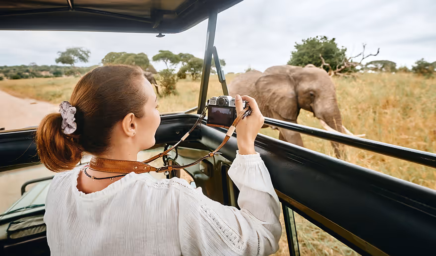 Woman photographing an elephant from a safari vehicle on the African savanna