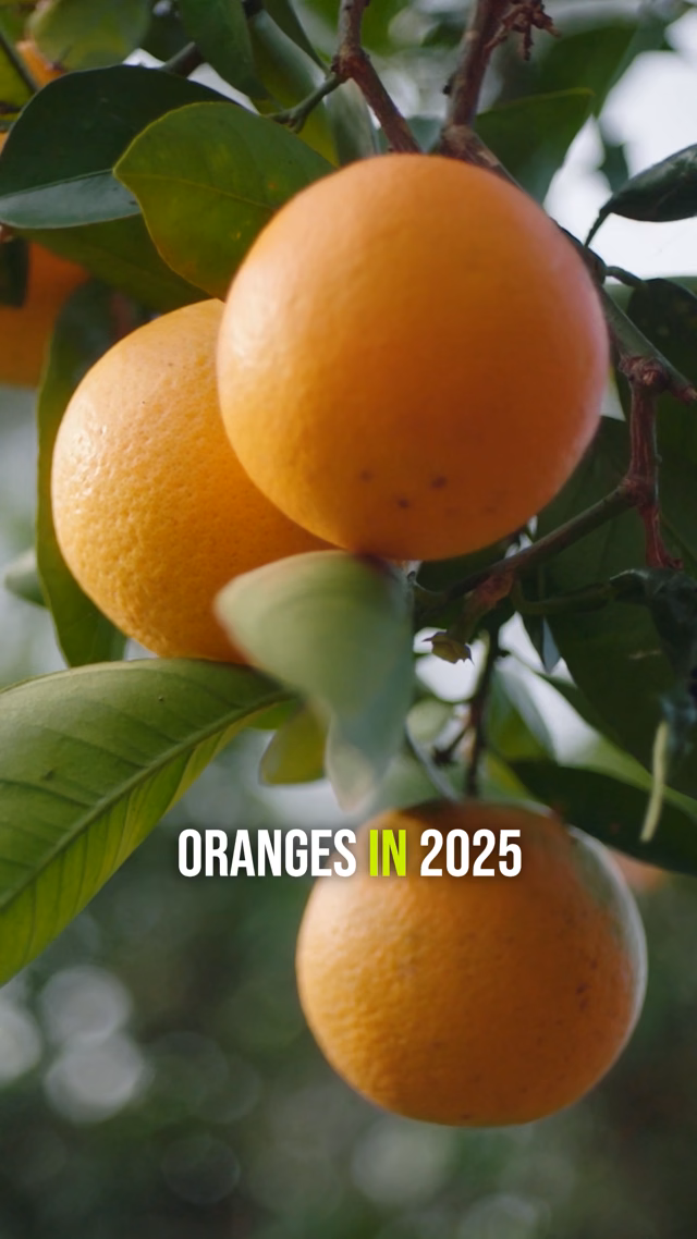 Video about oranges and nutrition in 2025