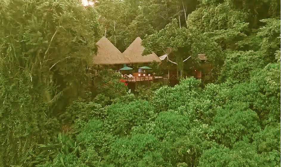 Aerial view of a luxury treehouse retreat nestled in a lush jungle canopy