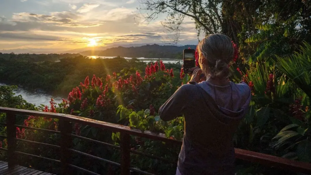 Person watching sunset over lush Amazon rainforest landscape