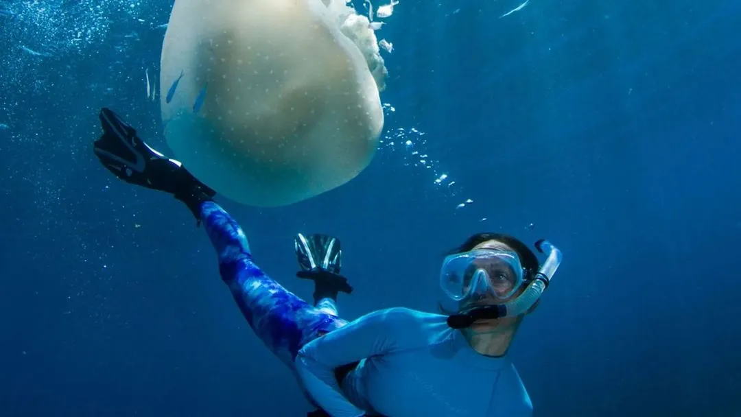 Scuba diver swimming underwater in the ocean