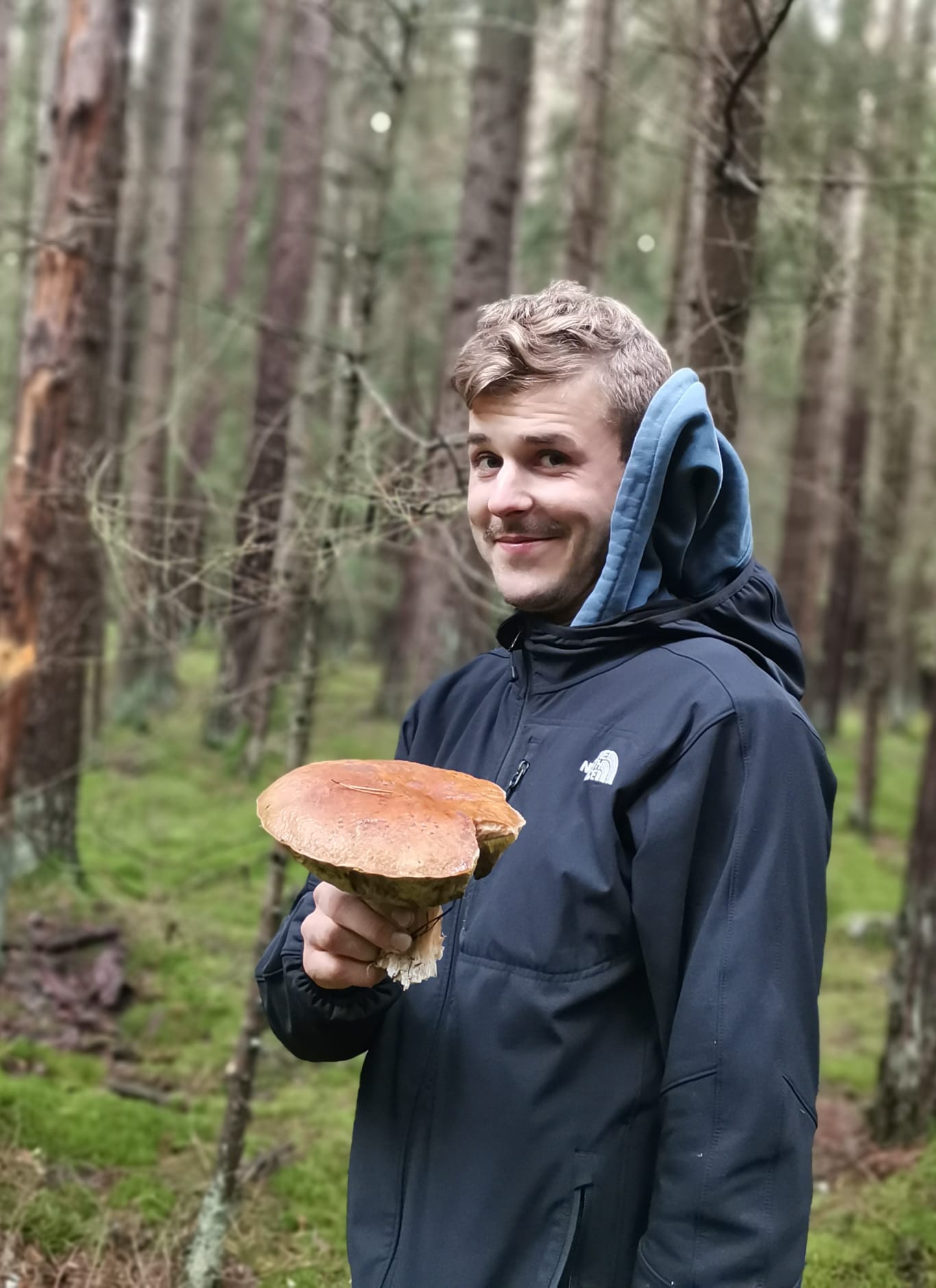 image of conservation team in action